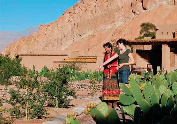 Alto Atacama Desert Lodge - Julia Malchow Lieblingshotels - Luxushotels Atacamawüste Chile Südamerika - Gardens 1
